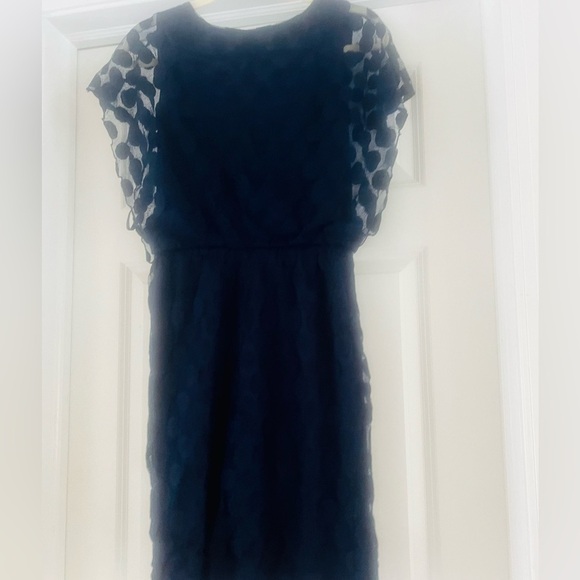 Beautiful navy dress with lace over lay by Enfocus Studio size 8 - Picture 6 of 7